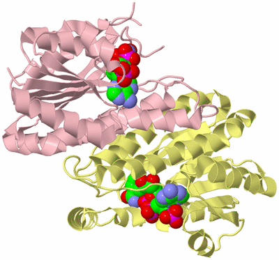 Image Biological Unit 3