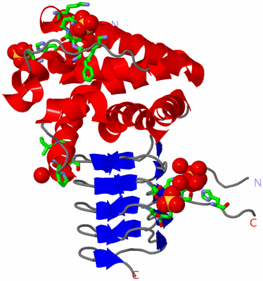 Image Asym. Unit - sites