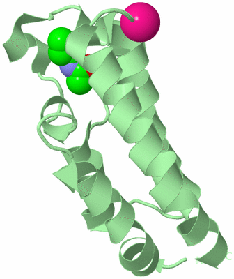 Image Biological Unit 2