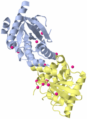 Image Biological Unit 1