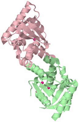 Image Biological Unit 2