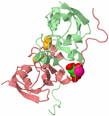 Image Biological Unit 2