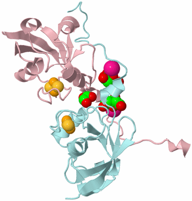 Image Biological Unit 3