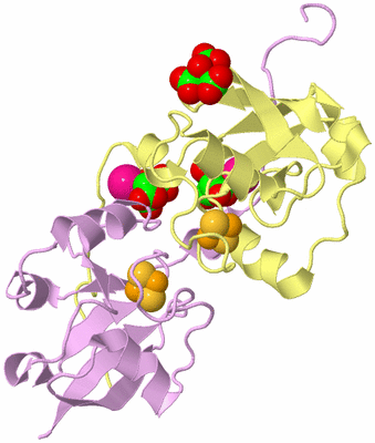 Image Biological Unit 4