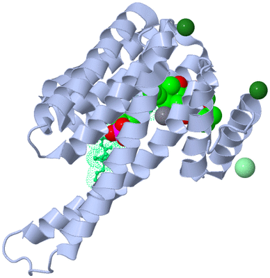 Image Asymmetric Unit