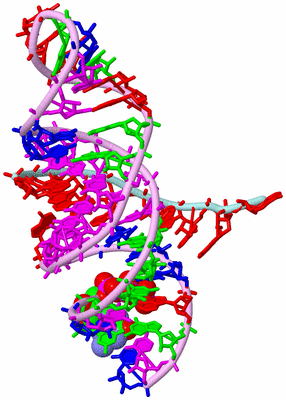 Image Biological Unit 3