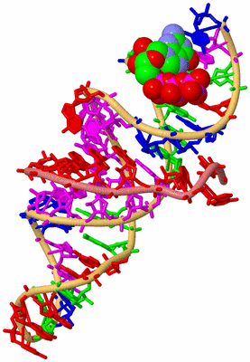 Image Biological Unit 4