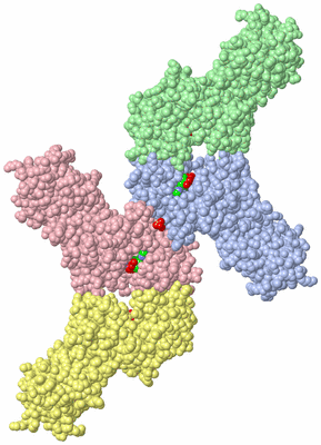 Image Asymmetric Unit