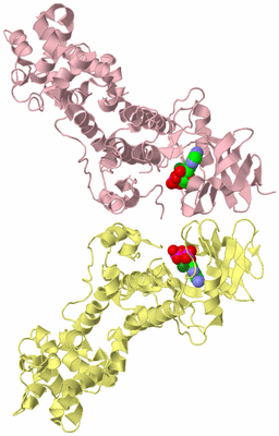 Image Biological Unit 2