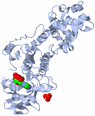 Image Biological Unit 3