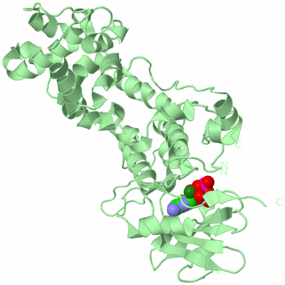 Image Biological Unit 4