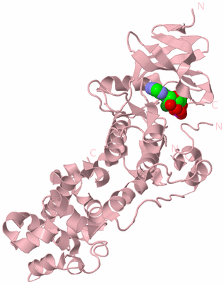 Image Biological Unit 5