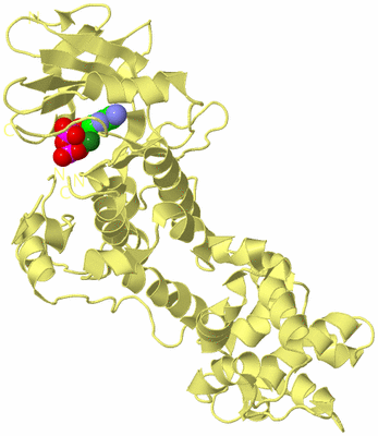 Image Biological Unit 6