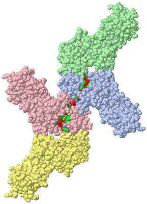 Image Asym. Unit - sites