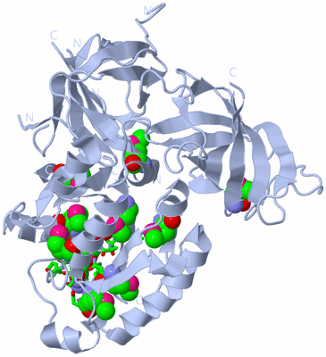 Image Biol. Unit 1 - sites