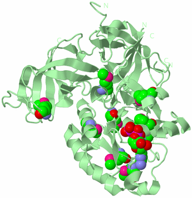 Image Biological Unit 2