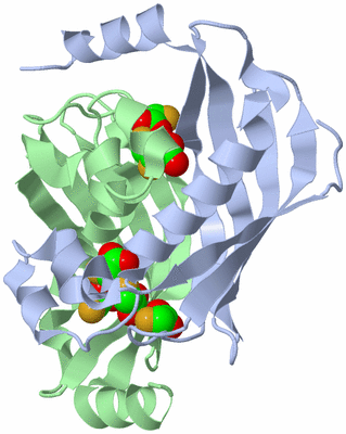 Image Asym./Biol. Unit