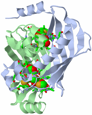 Image Asym./Biol. Unit - sites