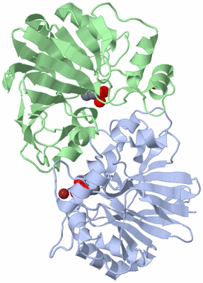 Image Asym./Biol. Unit