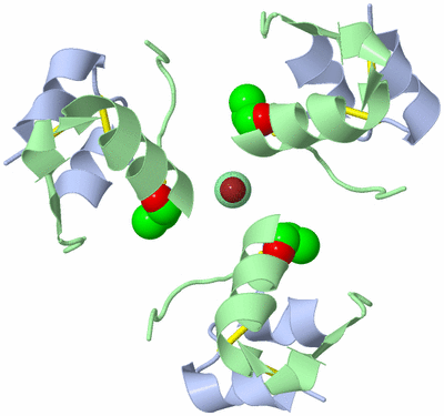 Image Biological Unit 1