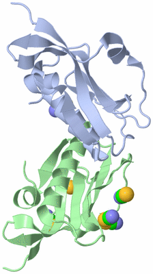 Image Biological Unit 1