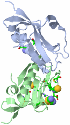 Image Biol. Unit 1 - sites