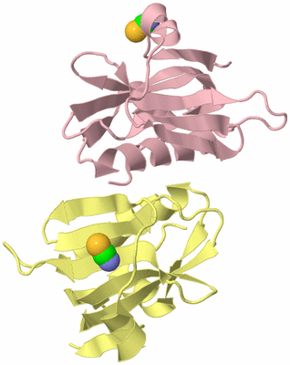 Image Biological Unit 2