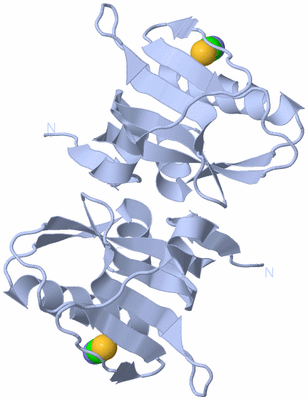 Image Biological Unit 3