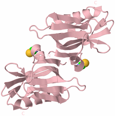 Image Biological Unit 4