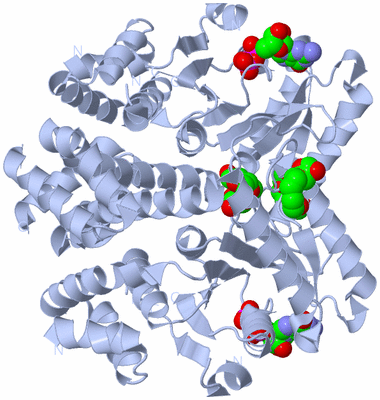 Image Biological Unit 1