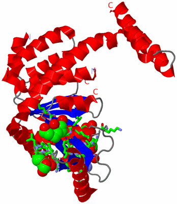 Image Asym. Unit - sites