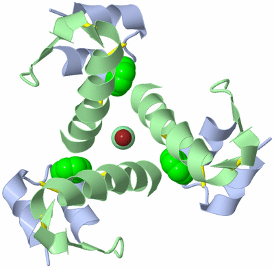 Image Biological Unit 1