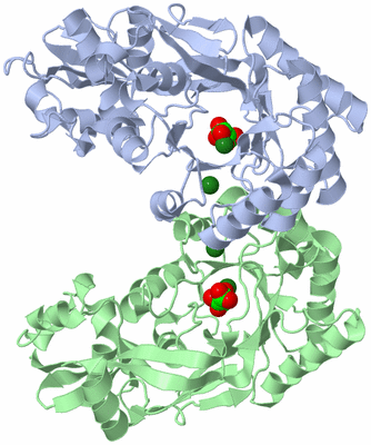 Image Asym./Biol. Unit