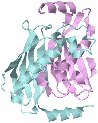 Image Biological Unit 3