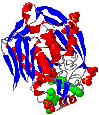 Image Asym./Biol. Unit