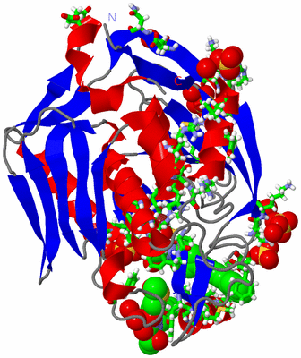 Image Asym./Biol. Unit - sites