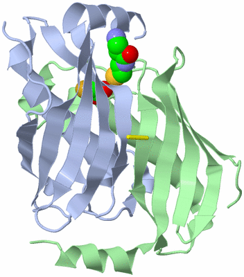 Image Biological Unit 1