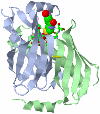 Image Biol. Unit 1 - sites