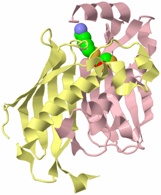 Image Biological Unit 2