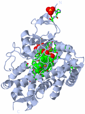 Image Biol. Unit 1 - sites