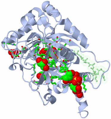 Image Asym. Unit - sites