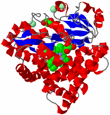 Image Asym./Biol. Unit