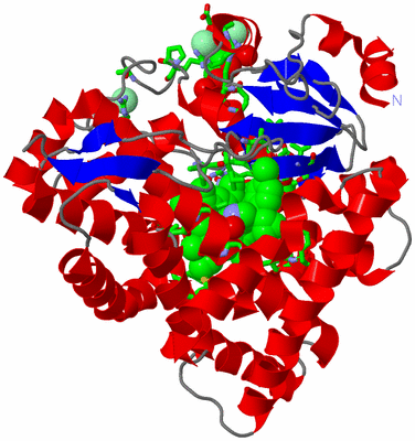 Image Asym./Biol. Unit - sites