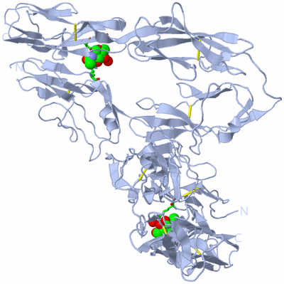 Image Biol. Unit 1 - sites