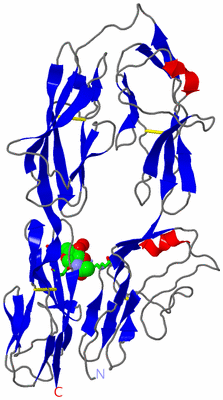 Image Asym. Unit - sites