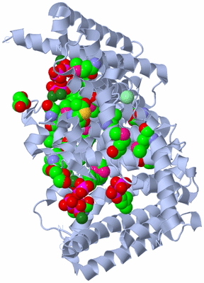 Image Biological Unit 1