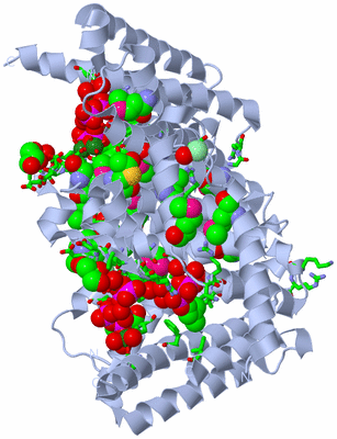 Image Biol. Unit 1 - sites