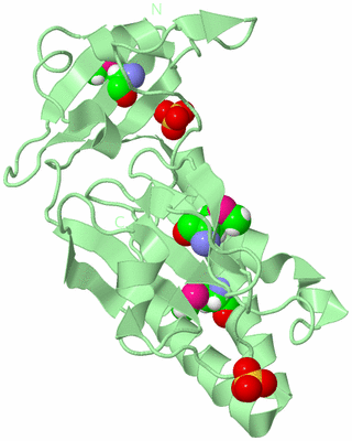 Image Biological Unit 2