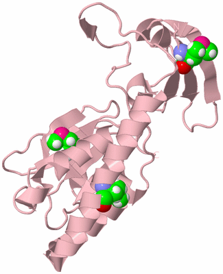 Image Biological Unit 3