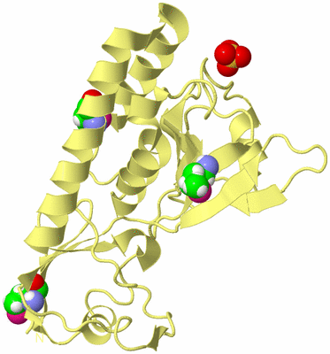 Image Biological Unit 4